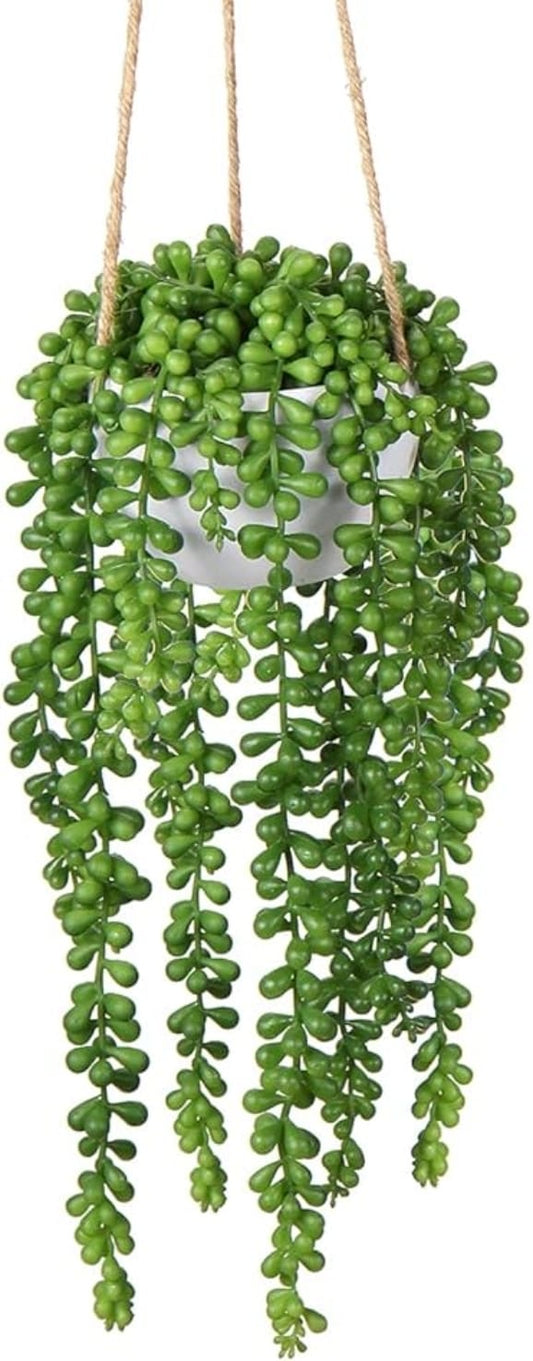 Pianta finta Rosario