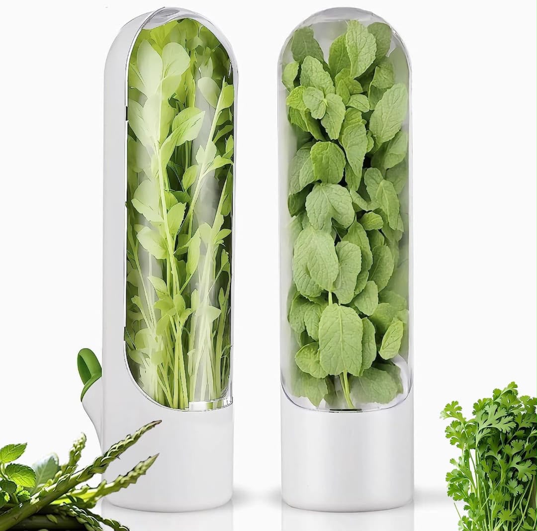 contenitore per erbe aromatiche